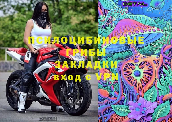 бошки Армянск