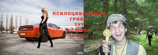 а пвп мука Арсеньев
