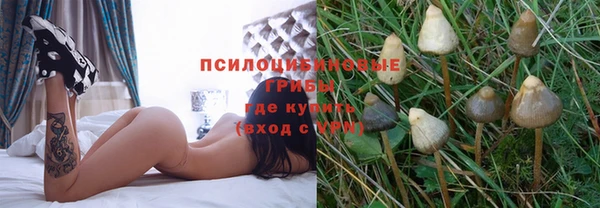 бошки Армянск