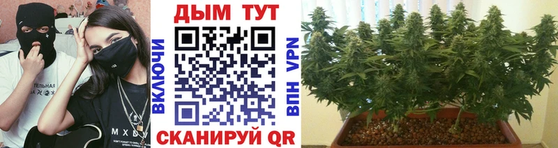 mega как войти  купить закладку  Урай  Каннабис Ganja 